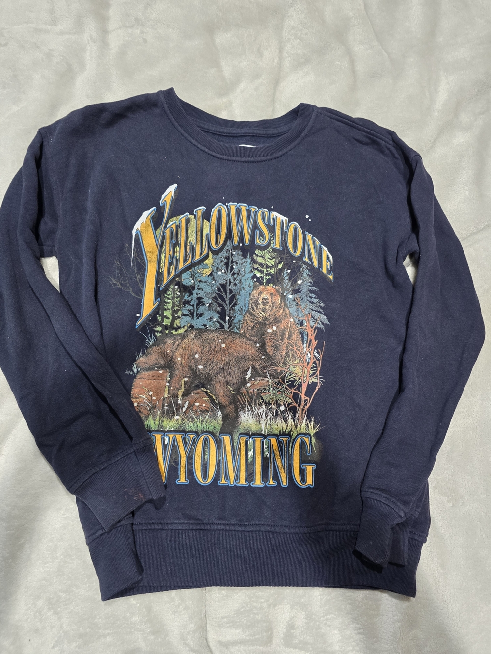 abercrombie kids Navy Yellowstone Wyoming Graphic Sweatshirt